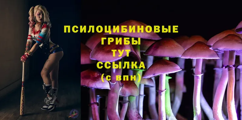 Псилоцибиновые грибы Magic Shrooms  Алзамай 